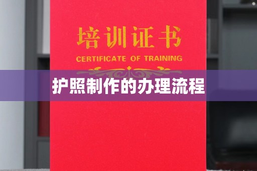 庐江护照制作的办理流程